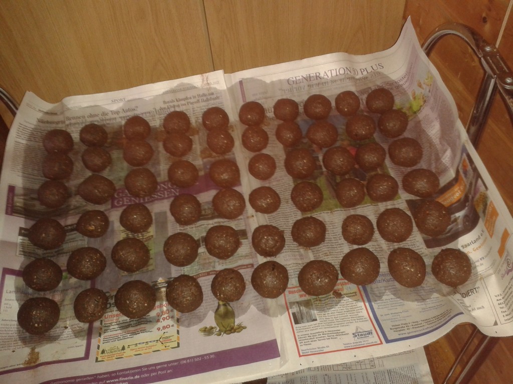 Seedbomben fertig